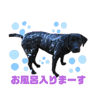 ばあやと仲間たち No.1（個別スタンプ：12）