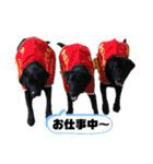 ばあやと仲間たち No.1（個別スタンプ：19）