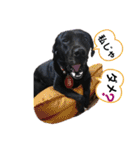 ばあやと仲間たち No.1（個別スタンプ：23）
