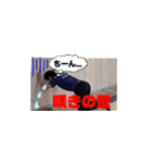 笹田泰裕プロのオリジナルスタンプ（個別スタンプ：2）