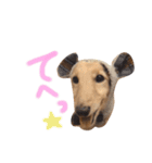 かわいい犬さん-kawaii inu san-（個別スタンプ：18）
