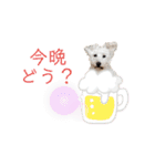 愛犬ポコちゃんのスタンプ3（個別スタンプ：27）