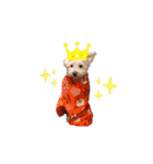 愛犬ポコちゃんのスタンプ3（個別スタンプ：37）