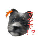さすけくんスタンプ（個別スタンプ：2）