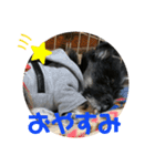さすけくんスタンプ（個別スタンプ：5）