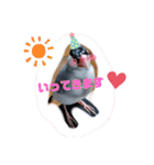 NICO and… RITO ♡（個別スタンプ：1）