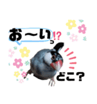 NICO and… RITO ♡（個別スタンプ：6）