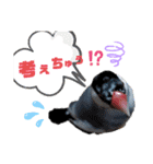 NICO and… RITO ♡（個別スタンプ：9）