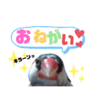 NICO and… RITO ♡（個別スタンプ：10）