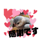 NICO and… RITO ♡（個別スタンプ：11）