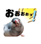 NICO and… RITO ♡（個別スタンプ：20）
