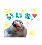 NICO and… RITO ♡（個別スタンプ：21）