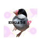 NICO and… RITO ♡（個別スタンプ：24）