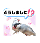 NICO and… RITO ♡（個別スタンプ：28）