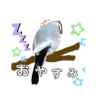 NICO and… RITO ♡（個別スタンプ：31）