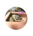 ぴすこさん（個別スタンプ：1）