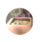 ぴすこさん（個別スタンプ：2）