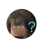 ぴすこさん（個別スタンプ：3）