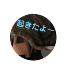 ぴすこさん（個別スタンプ：9）