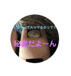 ぴすこさん（個別スタンプ：11）