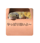 ぴすこさん（個別スタンプ：13）