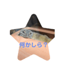 ぴすこさん（個別スタンプ：16）
