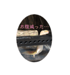 ぴすこさん（個別スタンプ：21）