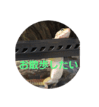 ぴすこさん（個別スタンプ：22）