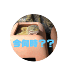 ぴすこさん（個別スタンプ：25）
