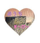 ぴすこさん（個別スタンプ：29）