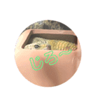 ぴすこさん（個別スタンプ：33）