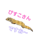 ぴすこさん（個別スタンプ：35）