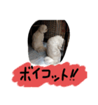 素敵なマルチーズちゃん（個別スタンプ：29）