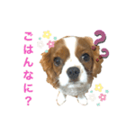 ノアエマ劇場（個別スタンプ：2）