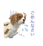 ノアエマ劇場（個別スタンプ：4）