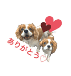 ノアエマ劇場（個別スタンプ：7）