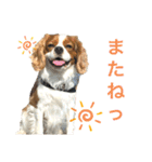 ノアエマ劇場（個別スタンプ：9）