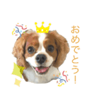 ノアエマ劇場（個別スタンプ：11）
