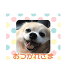 のんちゃん915②（個別スタンプ：4）