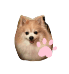 のんちゃん915②（個別スタンプ：8）