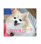 のんちゃん915②（個別スタンプ：12）