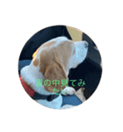 五家っぺ麻呂っぺ日常生活スタンプ（個別スタンプ：10）