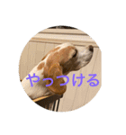 五家っぺ麻呂っぺ日常生活スタンプ（個別スタンプ：11）