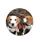 五家っぺ麻呂っぺ日常生活スタンプ（個別スタンプ：16）