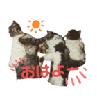 M家Family（個別スタンプ：13）