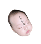 saraemi（個別スタンプ：1）