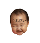 saraemi（個別スタンプ：7）