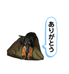 そらみスタンプ 40個セット 1（個別スタンプ：1）
