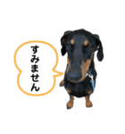 そらみスタンプ 40個セット 1（個別スタンプ：5）
