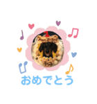 そらみスタンプ 40個セット 1（個別スタンプ：6）